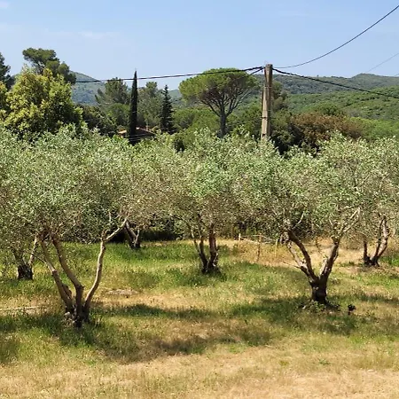 Holiday home Dans La Nature, De Standing Avec Piscine Chauffee, Jaccusi Exterieur Clermont-l'Herault