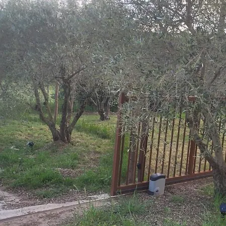 Dans La Nature, De Standing Avec Piscine Chauffee, Jaccusi Exterieur Clermont-l'Herault