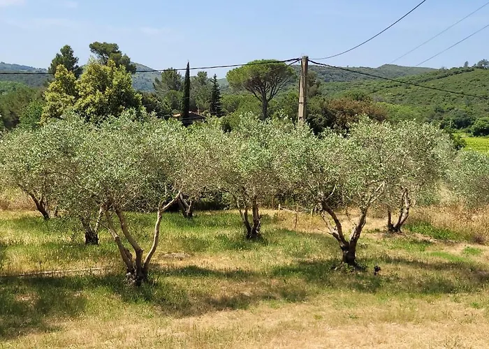 Σπίτι διακοπών Dans La Nature, De Standing Avec Piscine Chauffee, Jaccusi Exterieur Clermont-lʼHérault