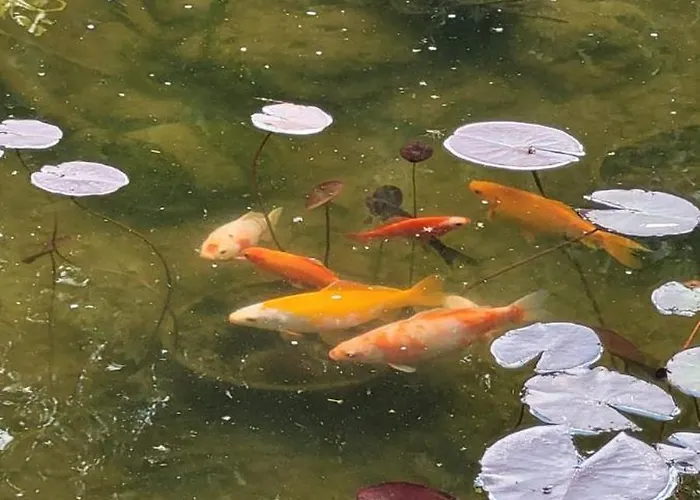 Dans La Nature, De Standing Avec Piscine Chauffee, Jaccusi Exterieur *